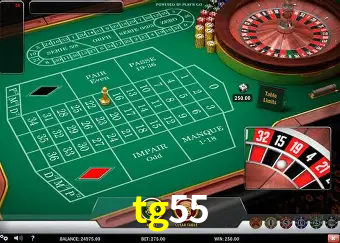 Descubra a Magia dos Jogos de Arcade no tg55